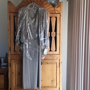 Ronni Nicole petite by Onida, long dress.